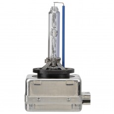D1S HID 12/24V 5000K  