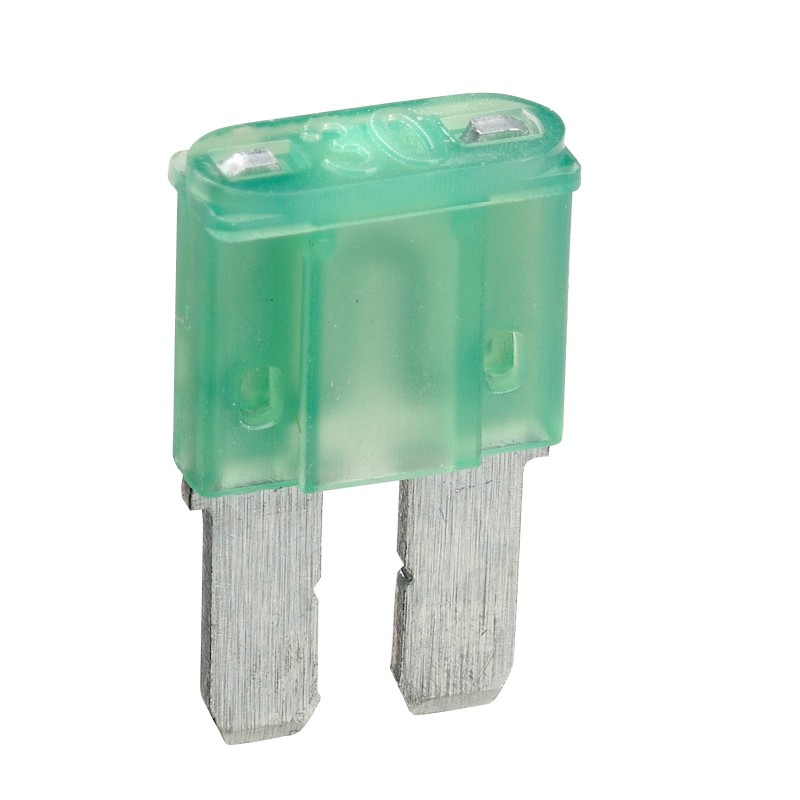 MICRO 2 BLADE FUSE 30AMP BOX OF 25