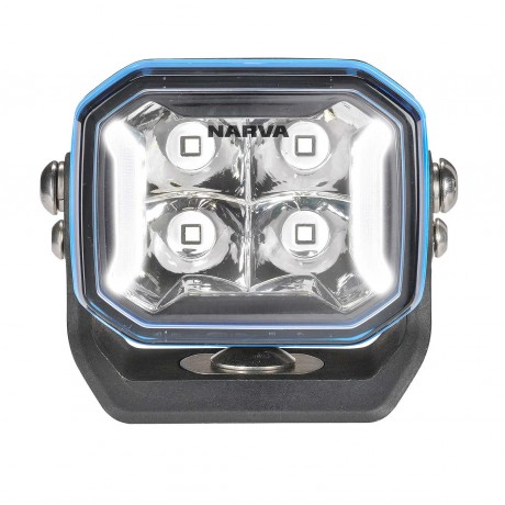 3 INCH EX2 R POD LIGHT DOUBLE ROW RGB ENABLED