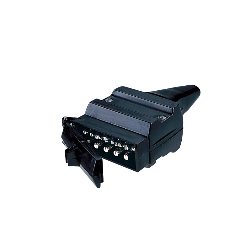 PLUG 12 PIN FLAT PK20