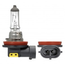 GLOBE H8 12V 35W PGJ19-5