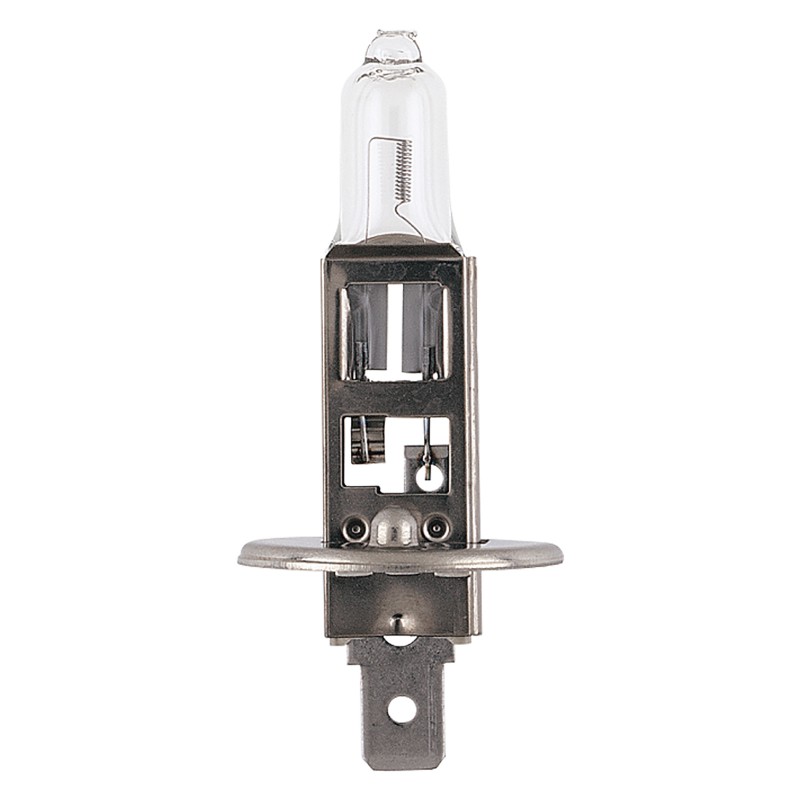 H1  EVERLIFE 12V 55W