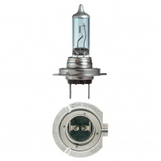 ARCTIC PLUS 50 H7 HALOGEN GLOBE 12V 55W